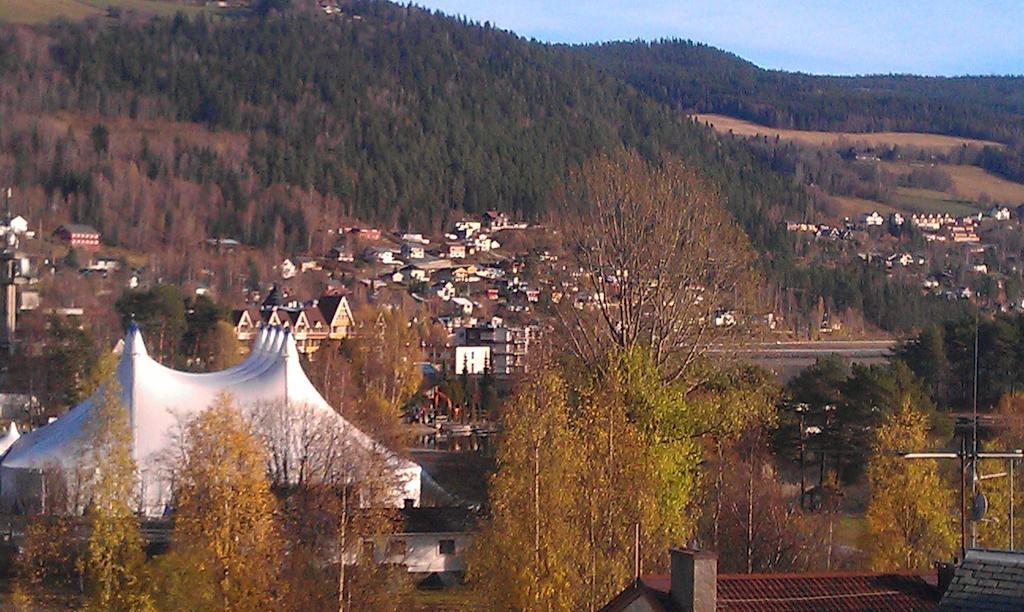 Valdres Naturlegvis Fagernes Bagian luar foto
