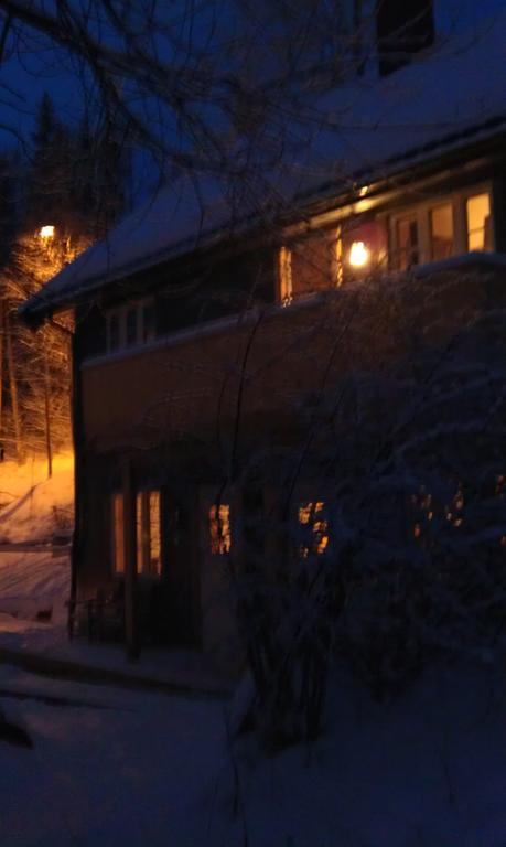 Valdres Naturlegvis Fagernes Bagian luar foto